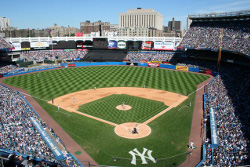 New York Yankees baseball 